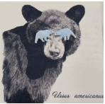 Jewelry - Bear Earrings - BEARES